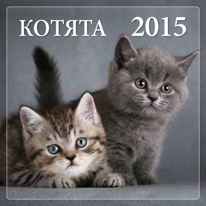 Котята 2015 - фото 1