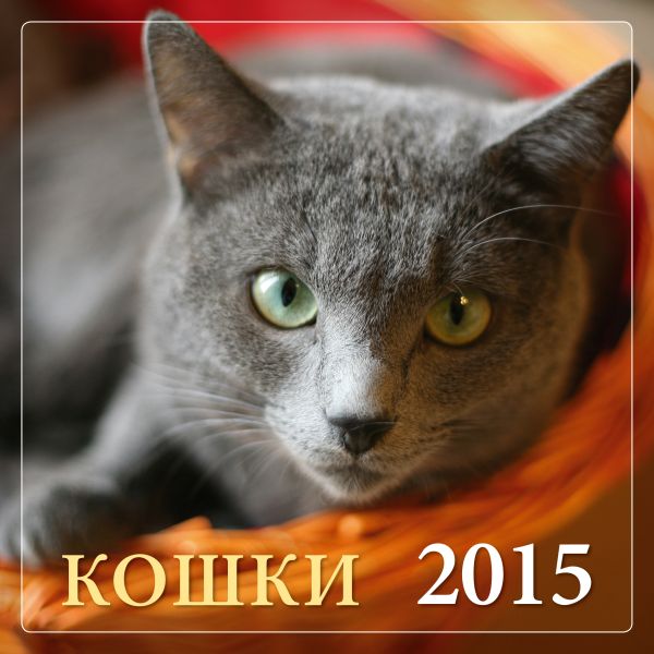 Кошки 2015 Кошки 2015