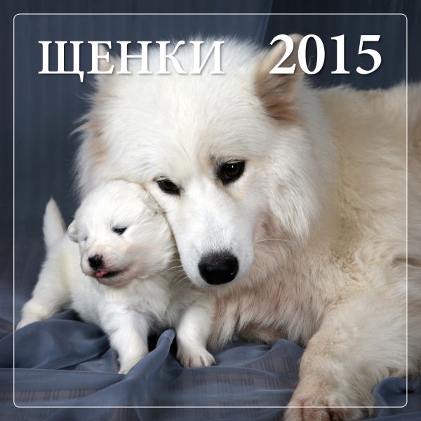Щенки 2015 Щенки 2015