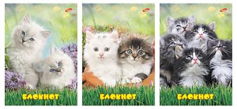 Бл 50л Клей 120*170 5549-5551-VQ Котята Бл 50л Клей 120*170 5549-5551-VQ Котята