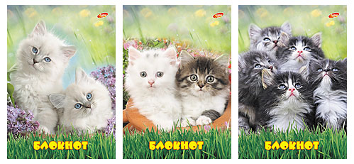 Бл 50л Клей 120*170 5549-5551-VQ Котята Бл 50л Клей 120*170 5549-5551-VQ Котята