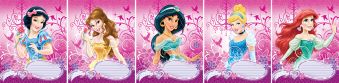 Тетр 12л скр А5 кл карт D3118/5-EAC полн УФ Princess Тетр 12л скр А5 кл карт D3118/5-EAC полн УФ Princess
