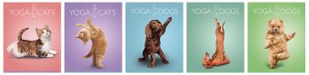 Тетр 40л скр А5 лин YD15/5-EAC твин УФ Yoga Dogs Тетр 40л скр А5 лин YD15/5-EAC твин УФ Yoga Dogs