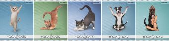 Тетр 48л скр А5 лин YD45/5-ЕАС полн УФ Yoga Dogs Тетр 48л скр А5 лин YD45/5-ЕАС полн УФ Yoga Dogs
