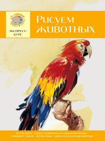 

Рисуем животных. Экспресс - курс для начинающих