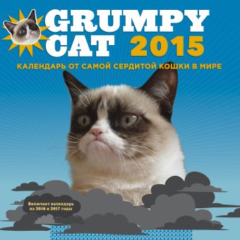 Grumpy Cat 2015. Календарь от самой сердитой кошки в мире значок деревянный брошь кот i hate you grumpy cat