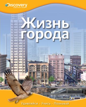 Жизнь города Жизнь города