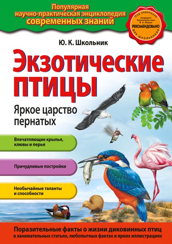 

Экзотические птицы. Яркое царство пернатых