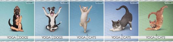 Тетр 48л скр А5 кл YD44/5-EAC твин УФ Yoga Dogs Тетр 48л скр А5 кл YD44/5-EAC твин УФ Yoga Dogs