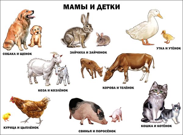 

Мамы и детки (плакат)