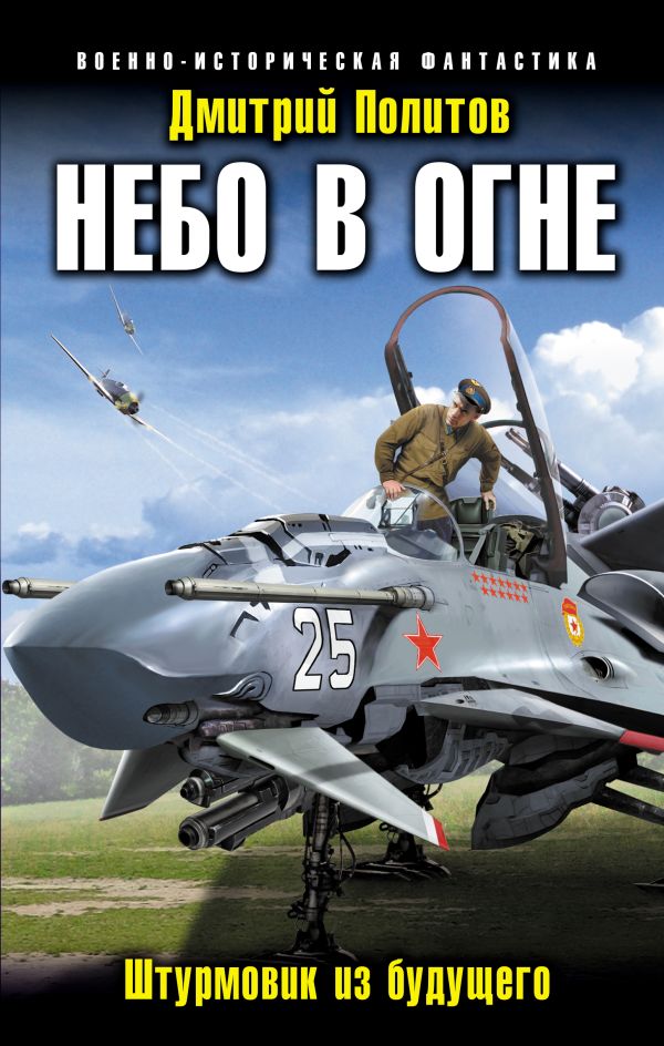 Небо в огне. Штурмовик из будущего Небо в огне. Штурмовик из будущего Политов Д.В.