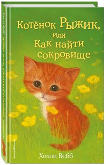 Котёнок Рыжик, или Как найти сокровище
