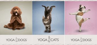 Тетр 96л скр А4 кл YD49/3-ЕАС полн УФ Yoga Dogs Тетр 96л скр А4 кл YD49/3-ЕАС полн УФ Yoga Dogs