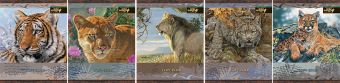 Тетр 96л скр А5 кл WW169/5-ЕАС полн УФ Wild Wings Тетр 96л скр А5 кл WW169/5-ЕАС полн УФ Wild Wings