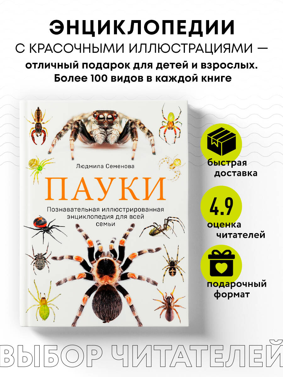 Пауки. Познавательная иллюстрированная энциклопедия для всей семьи  (Семенова Людмила Семеновна). ISBN: 978-5-699-76228-6 ➠ купите эту книгу с  доставкой в интернет-магазине «Буквоед»