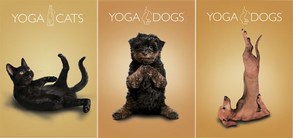 Тетр 48л скр А4 кл YD23/3-ЕАС твин УФ Yoga Dogs Тетр 48л скр А4 кл YD23/3-ЕАС твин УФ Yoga Dogs