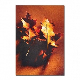 Блокнот А5 60 л. кл. HERBARIUM 1 склейка жестк.подложка мат.лам. Блокнот А5 60 л. кл. HERBARIUM 1 склейка жестк.подложка мат.лам.