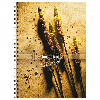 Тетрадь 80 л. кл. греб. HERBARIUM А5 тв.обл. Тетрадь 80 л. кл. греб. HERBARIUM А5 тв.обл.