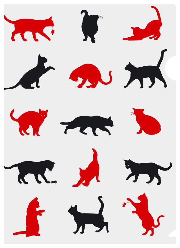 Кошки Кошки