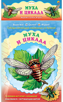 СОБЕРИ КОЛЛЕКЦИЮ НАСЕКОМЫХ. МУХА. ЦИКАДА СОБЕРИ КОЛЛЕКЦИЮ НАСЕКОМЫХ. МУХА. ЦИКАДА