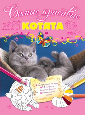 Котята Котята Волченко Ю.С.