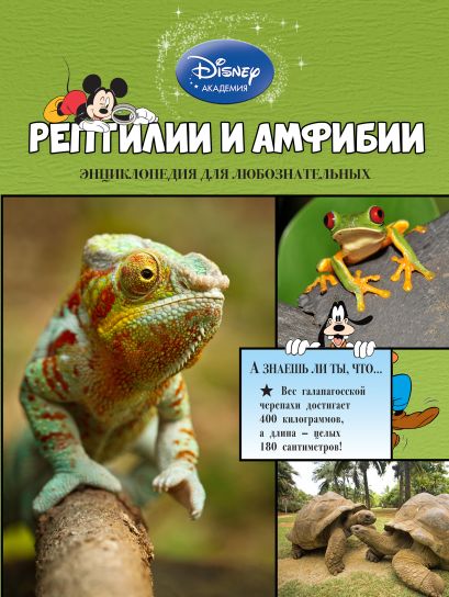 Рептилии и амфибии - фото 1
