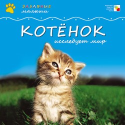 Забавные малыши. Котенок исследует мир Забавные малыши. Котенок исследует мир Майкл Тейтелбаум