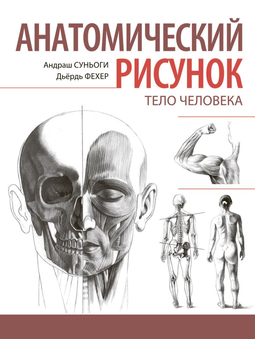 Книги для художников. Андраш Суньоги анатомический рисунок. Рисование человека книга. Книга анатомия для художников. Базовая анатомия для художников