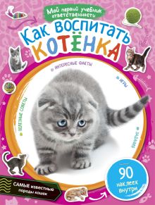 Как воспитать котёнка