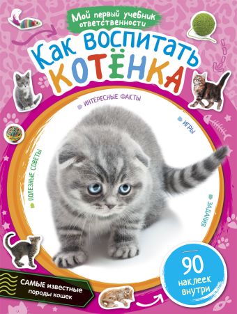 Как воспитать котёнка Как воспитать котёнка
