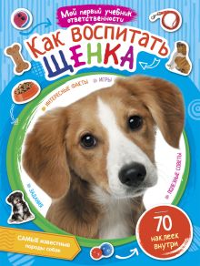 Как воспитать щенка