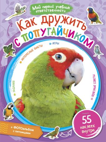 Как дружить с попугайчиком Как дружить с попугайчиком