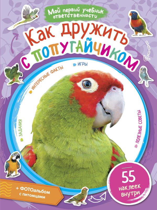 

Как дружить с попугайчиком