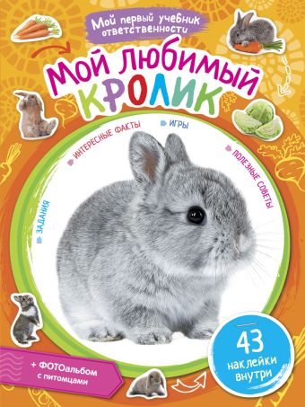 Мой любимый кролик Мой любимый кролик
