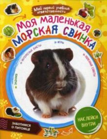 Моя маленькая морская свинка