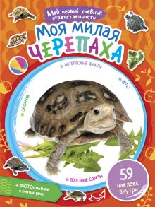 Моя милая черепаха