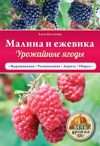 

Малина и ежевика. Урожайные ягоды