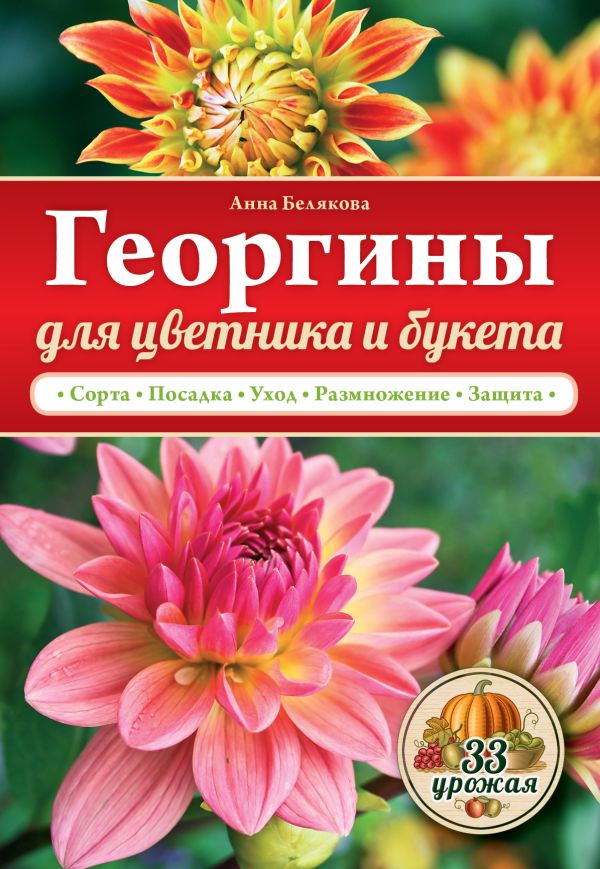 Георгины для цветника и букета Георгины для цветника и букета Белякова А.В.