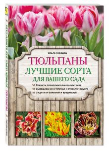 Тюльпаны: лучшие сорта для вашего сада