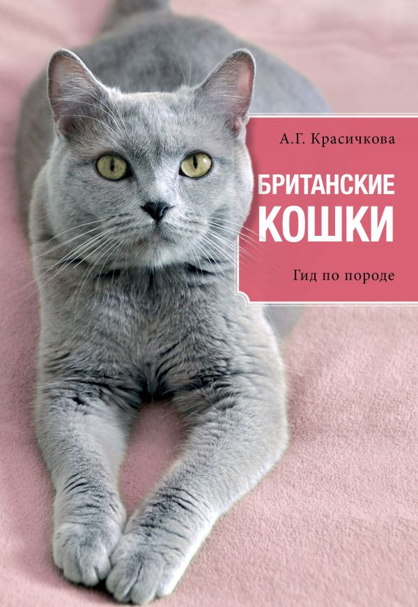 Британские кошки Британские кошки Красичкова А.Г.