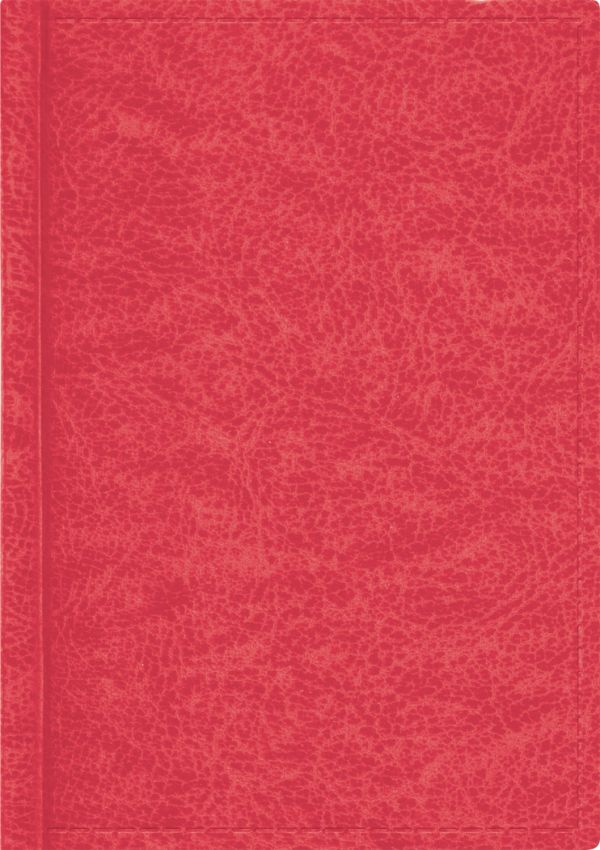 Ежедневник 105х150, PERFECT (Красный) Ежедневник 105х150, PERFECT (Красный)