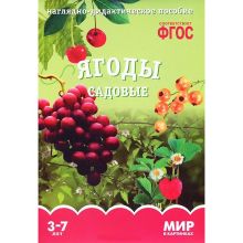 ФГОС Мир в картинках. Ягоды садовые.