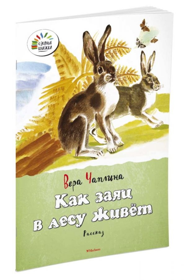 Как заяц в лесу живёт Как заяц в лесу живёт Чаплина Вера Васильевна
