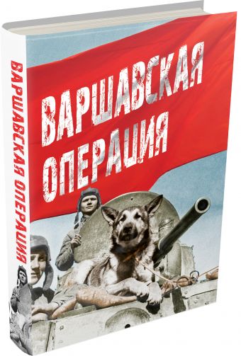 Варшавская операция Варшавская операция