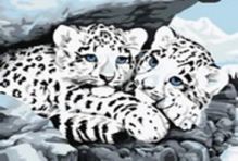 Живопись на холсте. Размер 30*40 см.. Снежные леопарды (049-CE )