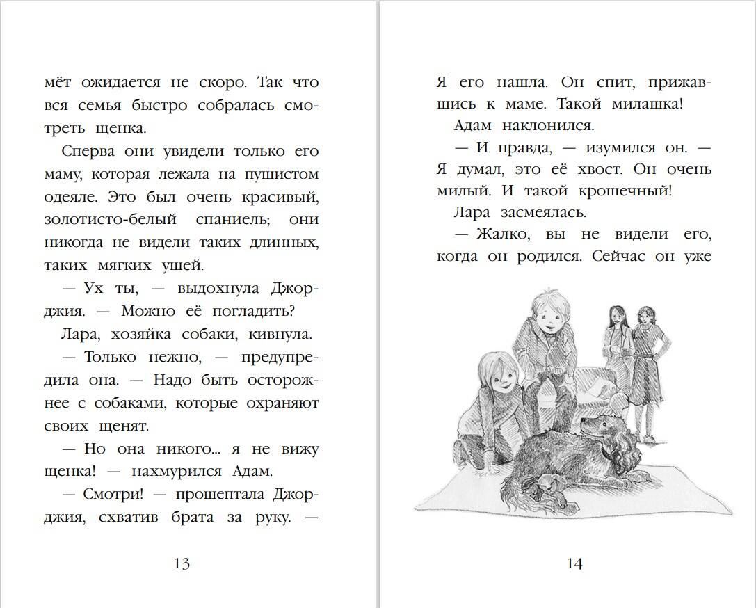 Щенок Любимчик, или Давай мириться! (выпуск 15) (Вебб Холли). ISBN:  978-5-699-81198-4 ➠ купите эту книгу с доставкой в интернет-магазине  «Буквоед»