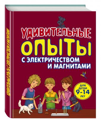 Удивительные опыты с электричеством и магнитами Удивительные опыты с электричеством и магнитами Проневский А.Г.