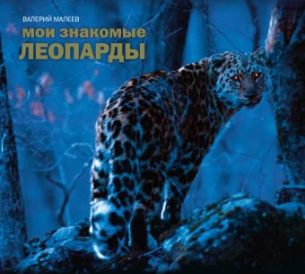 Мои знакомые леопарды Мои знакомые леопарды Валерий Малеев