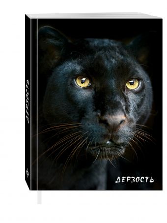 Блокнот настоящего хищника (Пантера). А5 Блокнот настоящего хищника (Пантера). А5