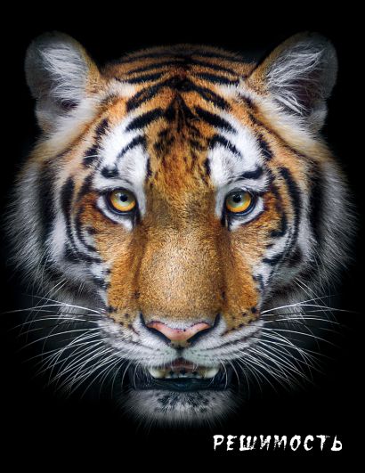 Блокнот настоящего хищника (Тигр). А5 - фото 1